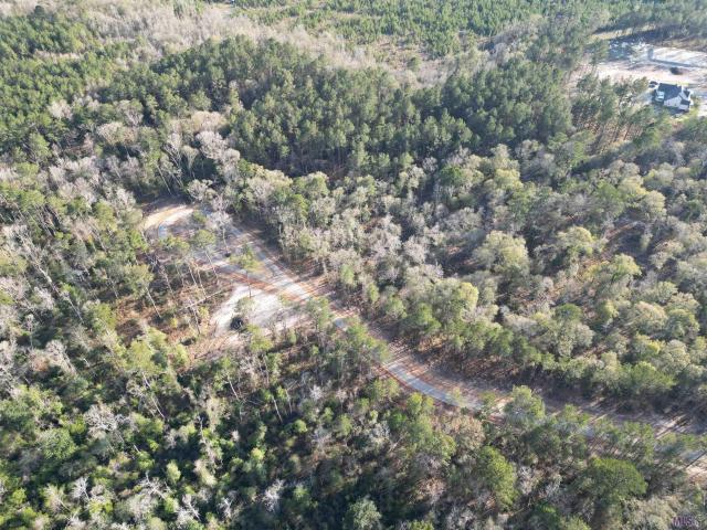 Land for sale in Louisiana