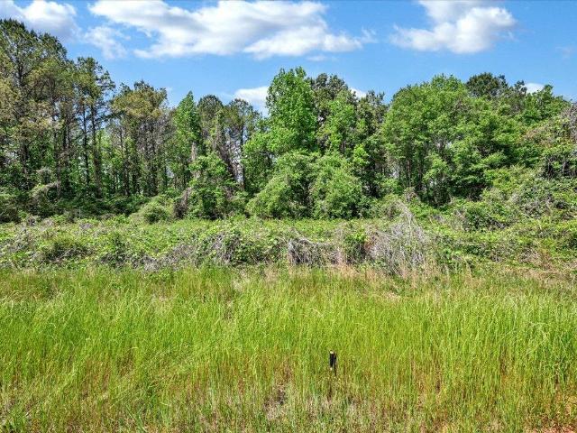 Land for sale in Falkville, Alabama
