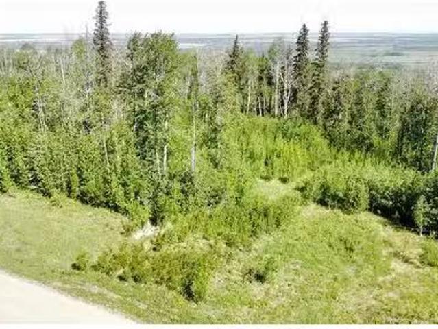 House for sale in Tomslake, British Columbia