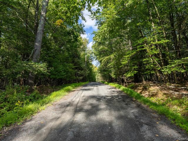 Land for sale in Bearsville, New York