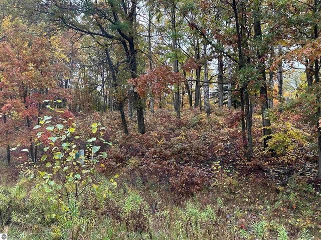 Land for sale in Clare, Michigan