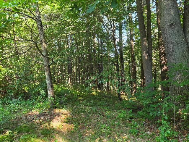 Land for sale in Hunts Corner, Town of Tusten