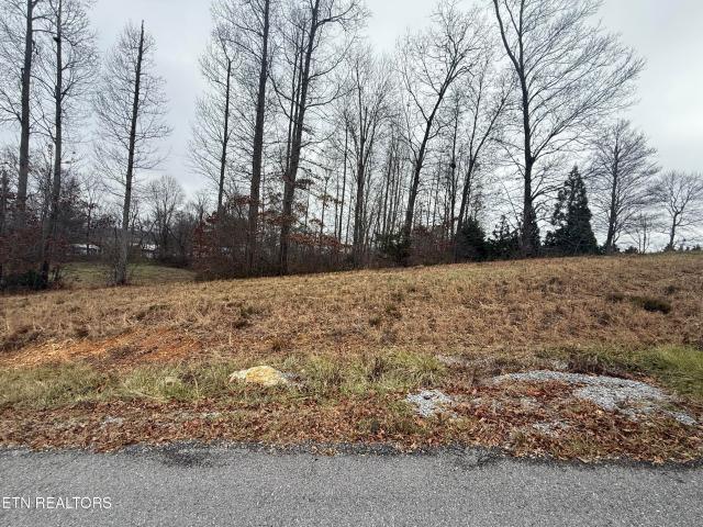 Land for sale in Virginia