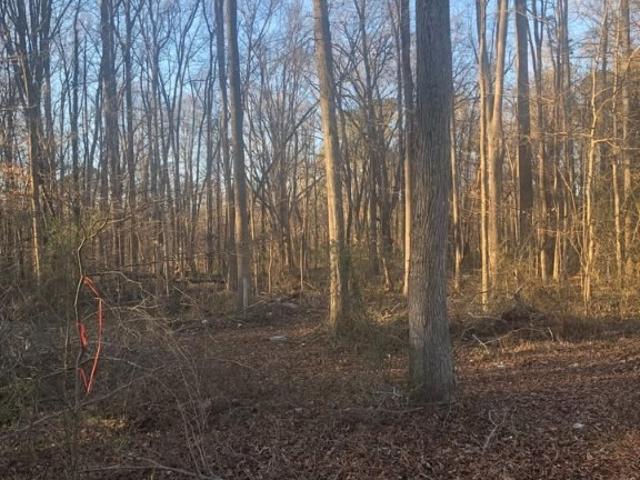 Land for sale in Virginia