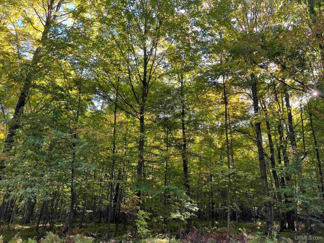 Land for sale in Town of Tipler, Florence County