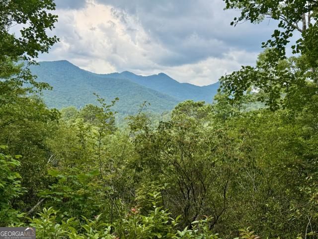 Land for sale in Dillard, Georgia