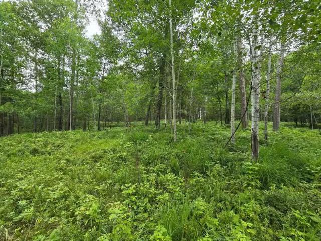 House for sale in Hudson