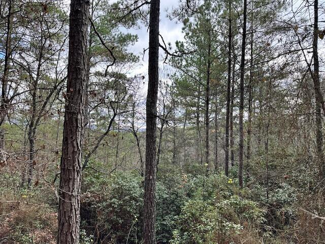 Land for sale in Tennessee