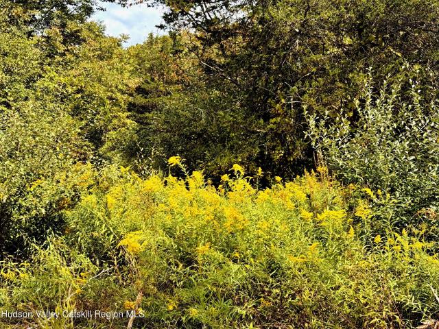 Land for sale in Livingston, New York