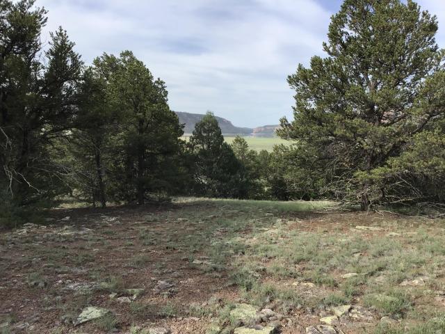 Land for sale in Ramah, New Mexico