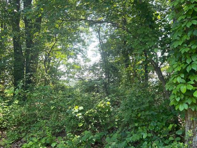 Land for sale in Broadway