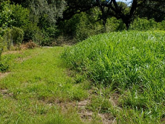 Land for sale in Waelder, Texas