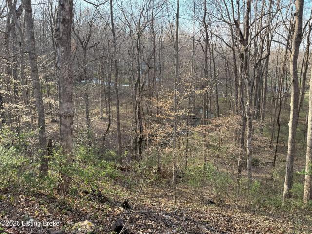 Land for sale in Glasgow, Barren County