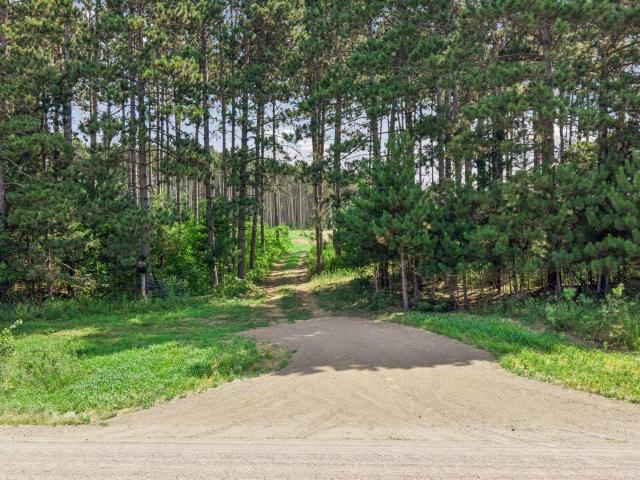 Land for sale in Minnesota