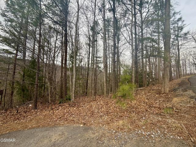 Land for sale in Tennessee