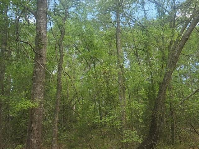 Land for sale in Plantersville, Grimes County
