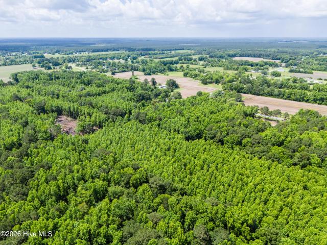 Land for sale in Burgaw, North Carolina