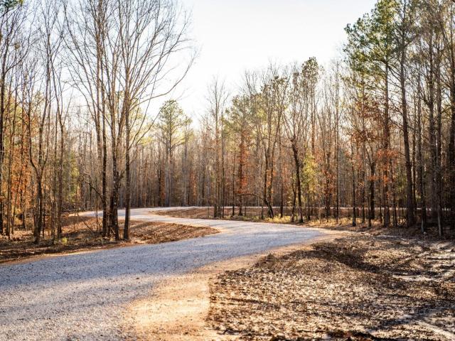 Land for sale in West Point, Clay County