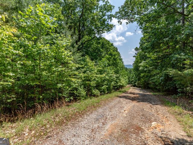 Land for sale in Young Harris, Georgia
