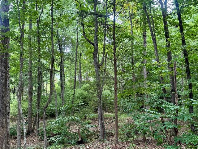 Land for sale in Fort Mill