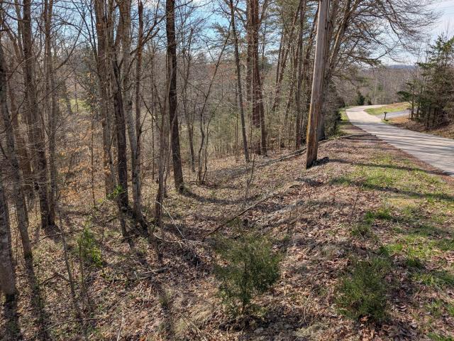 Land for sale in Irvine, Estill County