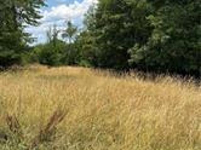 Land for sale in Houston, Pennsylvania