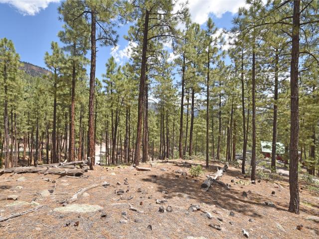 Land for sale in Jemez Springs, New Mexico