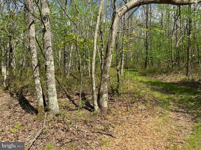 Land for sale in Garrett, Maryland