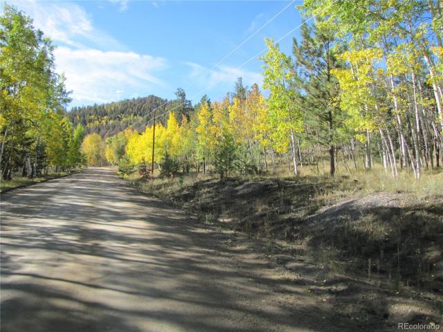 Land for sale in Hartsel, Park County