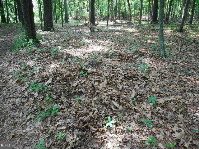 Land for sale in Romney, West Virginia