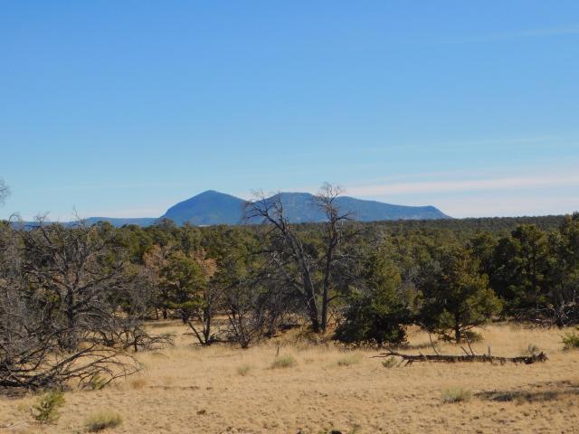 Land for sale in Catron, New Mexico