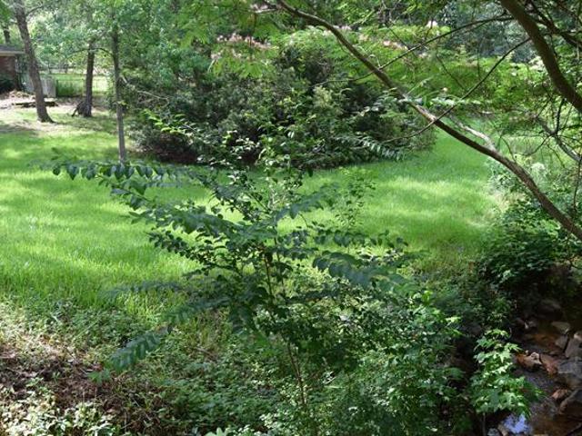 Land for sale in Minden