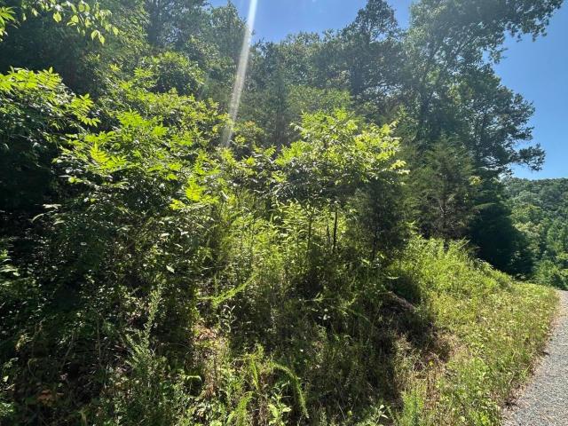 Land for sale in Tennessee