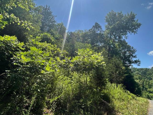 Land for sale in Tennessee