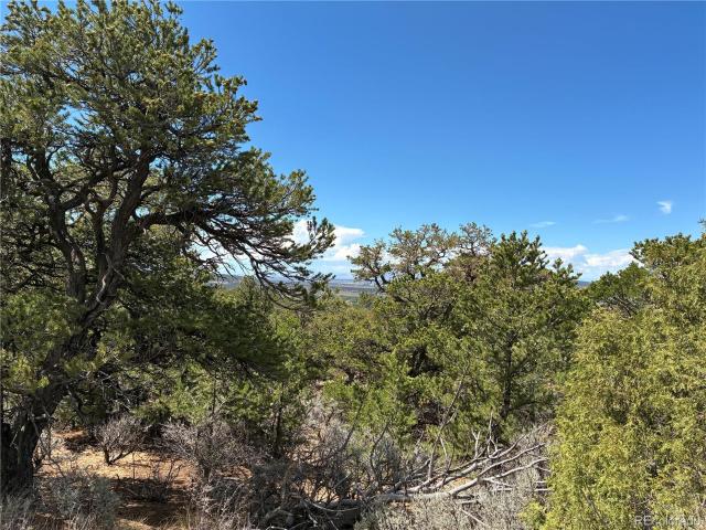 Land for sale in Fort Garland, Colorado