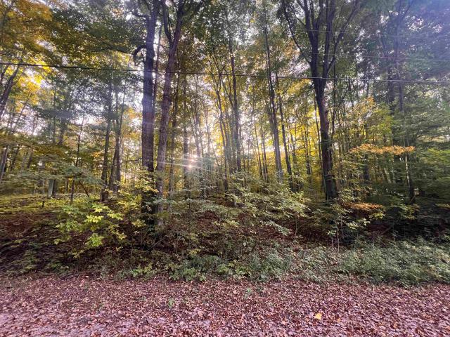 Land for sale in Almira Township, Benzie County