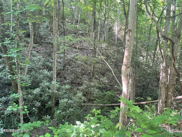 Land for sale in Sevierville, East Tennessee