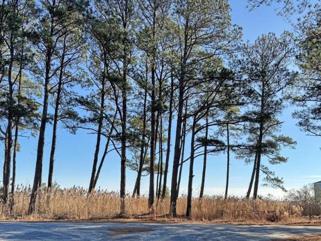 Land for sale in Virginia