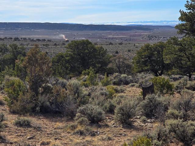 Land for sale in Fort Garland, Colorado