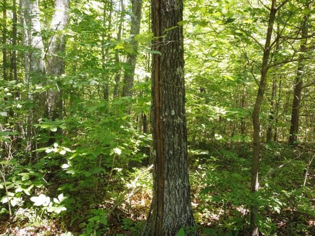 Land for sale in Spencer, Middle Tennessee