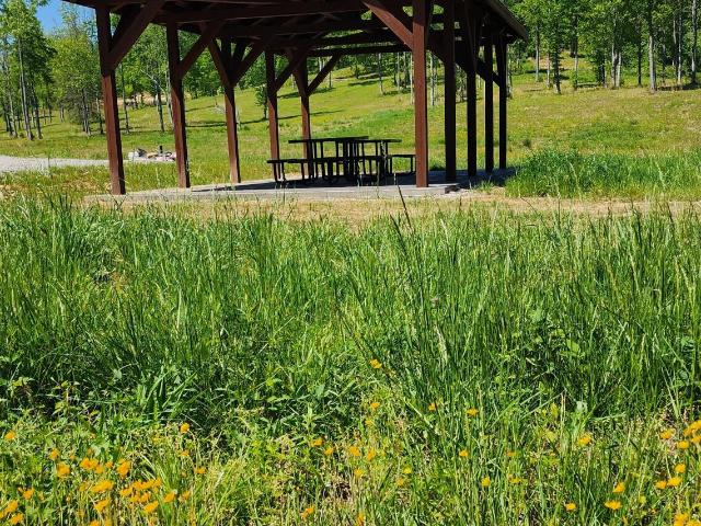 Land for sale in Corbin, Kentucky