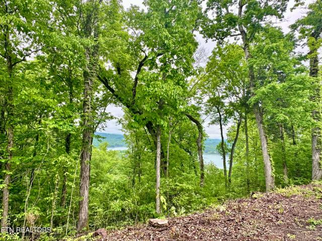 Land for sale in Tennessee