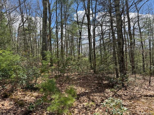 Property for sale in Glen Spey, New York