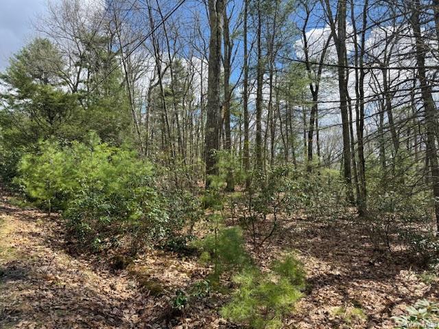 Land for sale in Glen Spey, New York