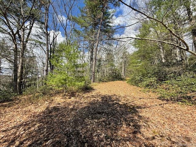 Property for sale in Glen Spey, New York