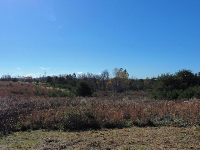 Land for sale in Wolfe, Kentucky