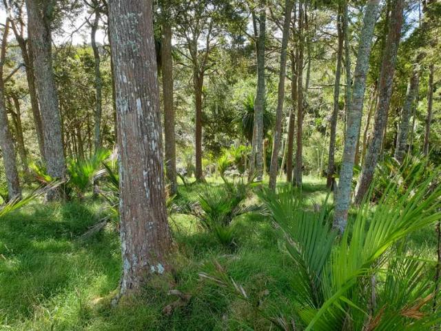 Property for sale in Maungaturoto, Northland