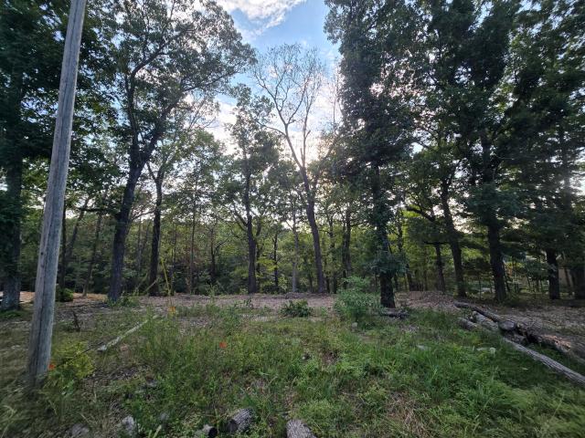 Land for sale in Stone, Missouri