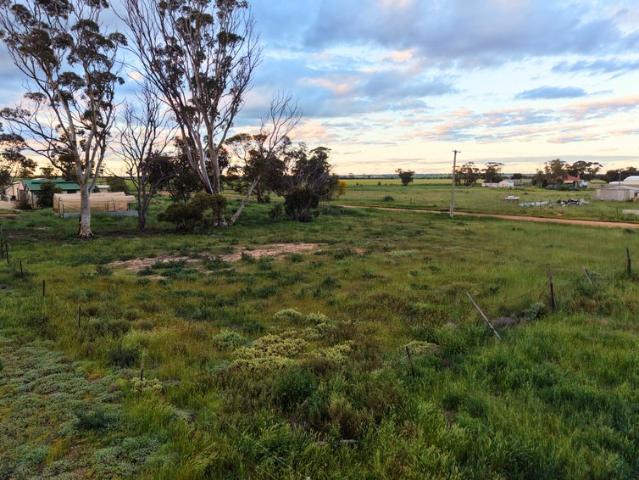 Land for sale in Doodlakine, Western Australia