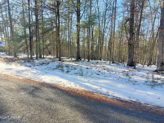 Land for sale in Beach Lake, Pennsylvania